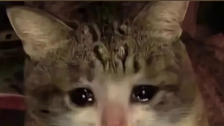 没开玩笑，已经单曲循环一整天了！大张伟新歌十倍爽