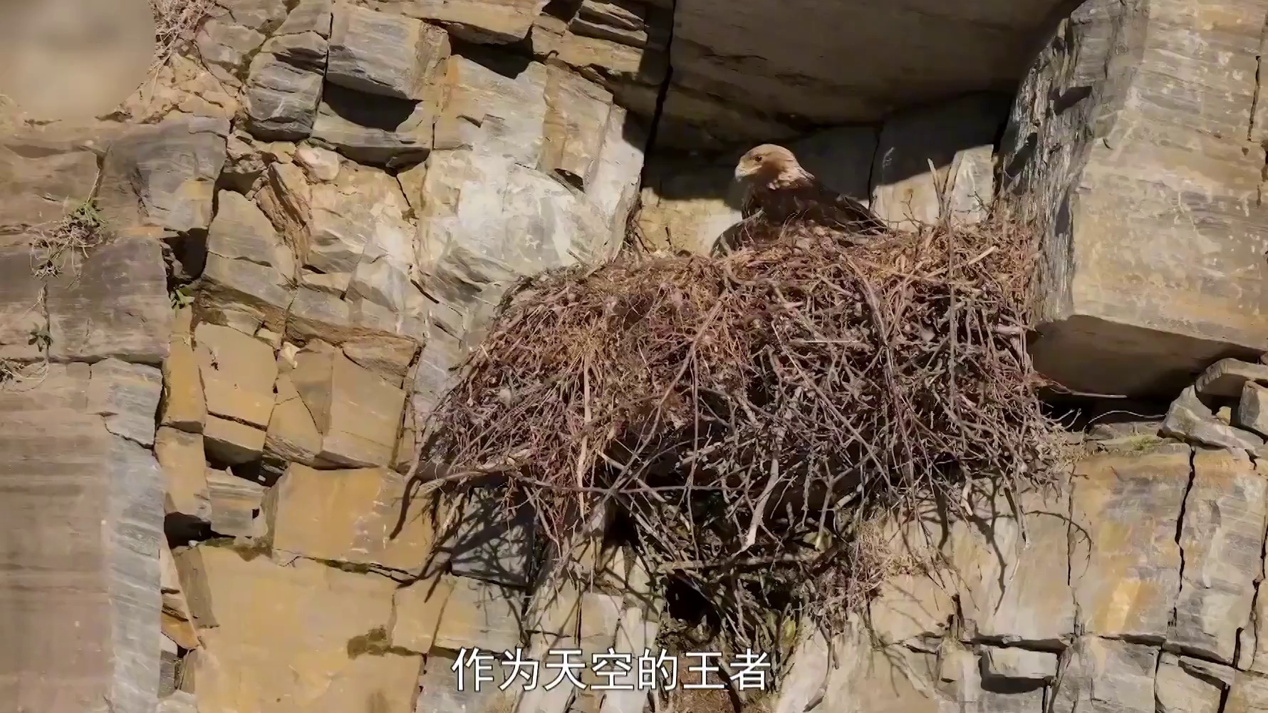 疯狂到爆炸的建筑世界