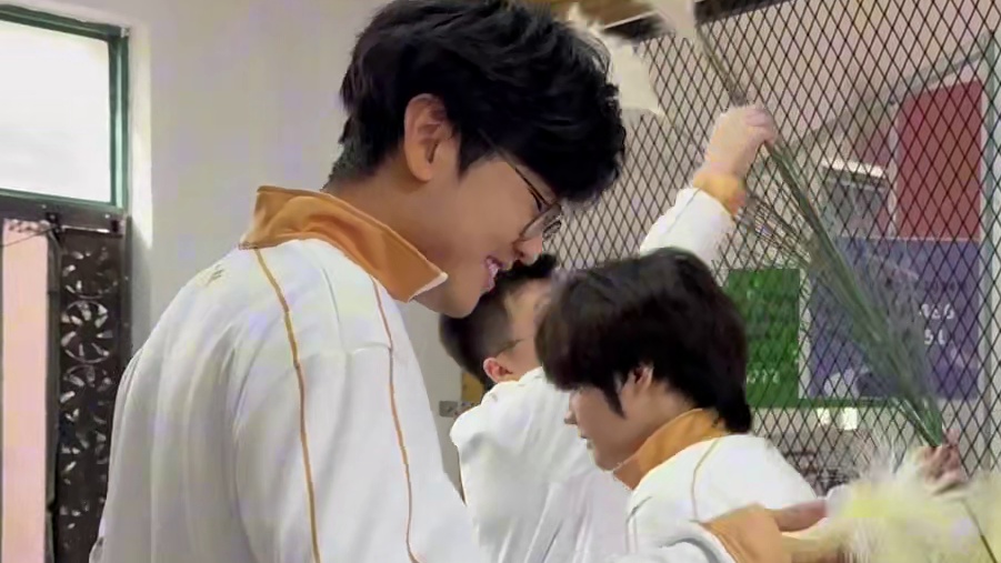 小虎给jiejie推荐逗猫棒然后把装饰的草拿起来说试试这个 ​​​