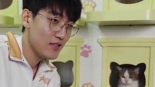 Tarzan的喵隊(duì)友“？”正期待與愛心召喚師的相遇。 #2025LPL全明星公益日  #誰(shuí)不想領(lǐng)養(yǎng)一