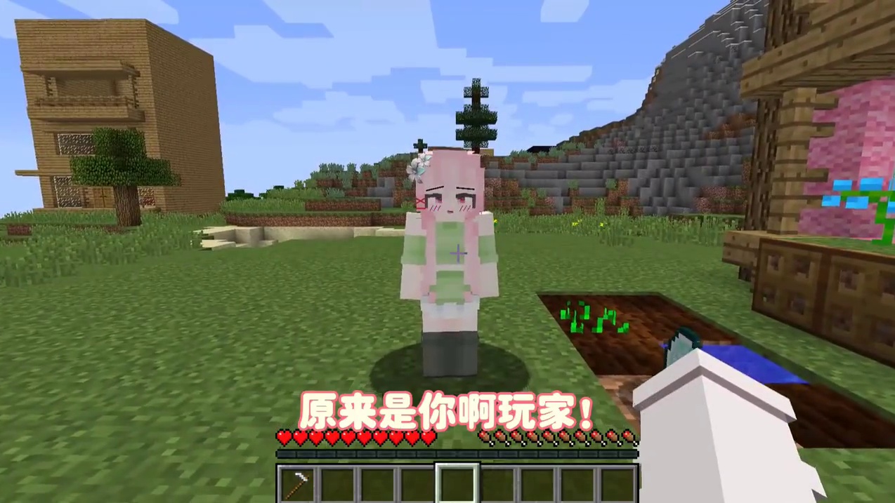 我的世界：钻石真的会长成大树吗？ #动画视频