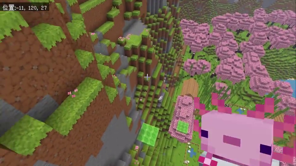 我的世界：好可爱的美西螈！#我的世界 #mc不灭 #mc