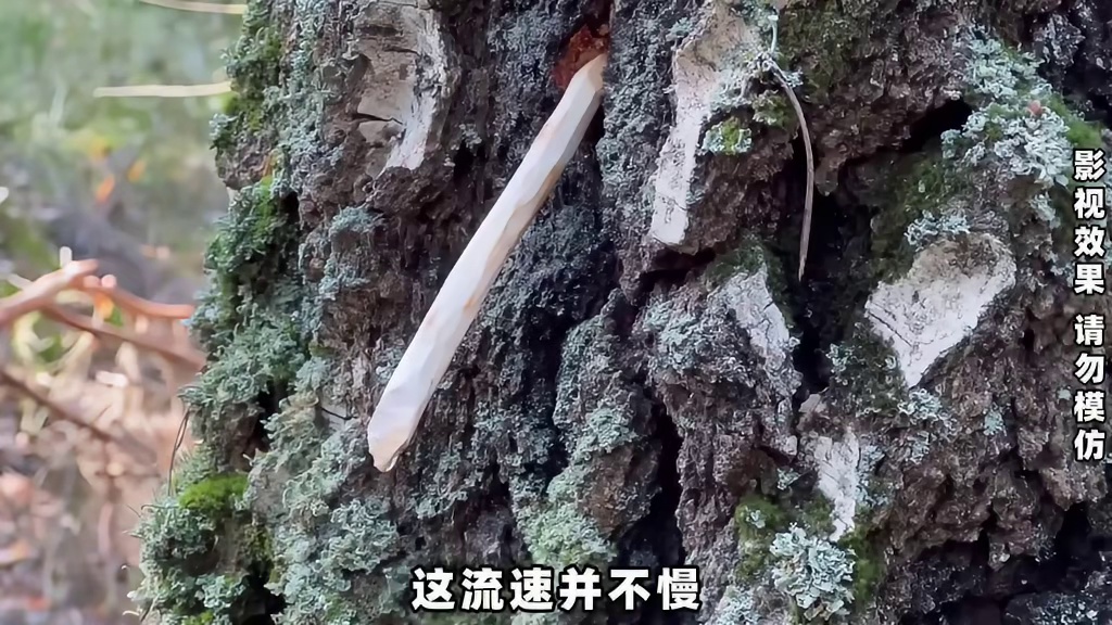 失恋后决定避世的奥拉夫徒手搭建出带景观台和大庭院的庇护所 #野外建造 #野外露营 #解压 #慢生活