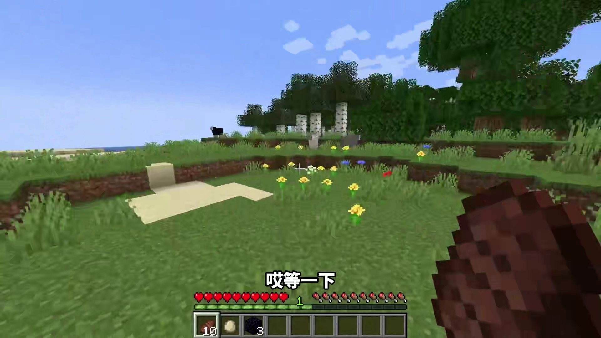 当MC生物的掉落物变得豪华！游戏会发生什么呢？！ #我的世界  #MC  #游戏内容风向标  #青年