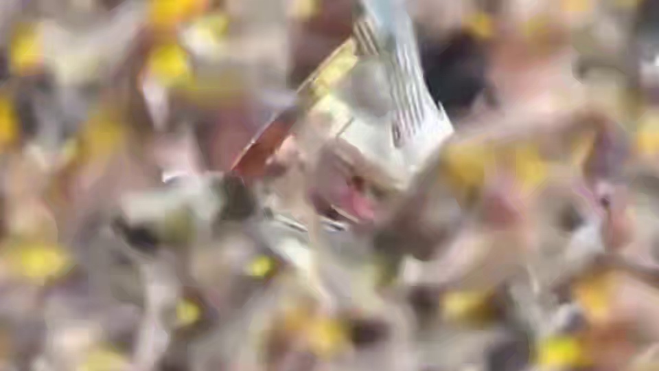 恭喜梅老板第47个冠军#足球⚽️ #足球的魅力 #美职联冠军 #梅西 #迈阿密国际