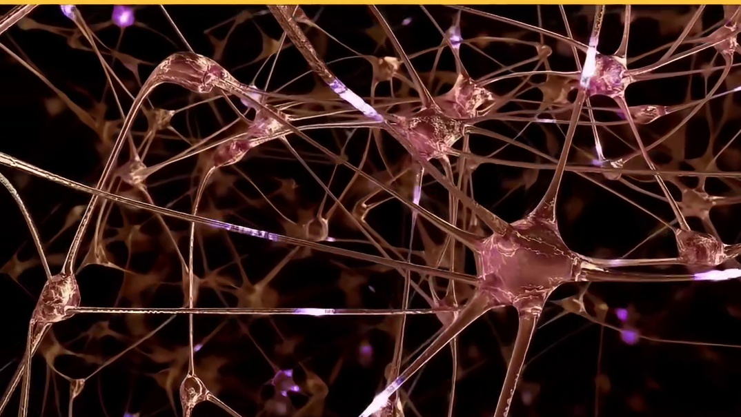 探索神经退行性疾病的成因与现有疗法的挑战