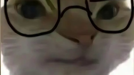 策划的陷阱正一步步向你靠拢