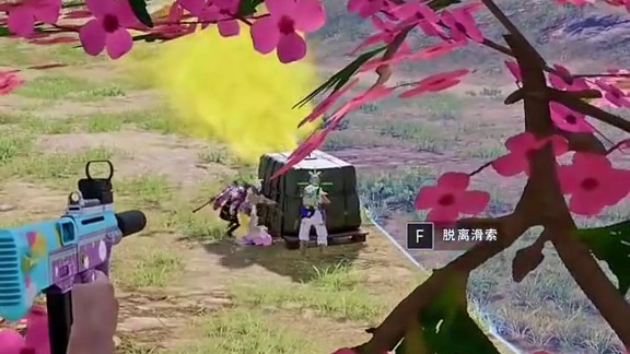 上树的老六见过没