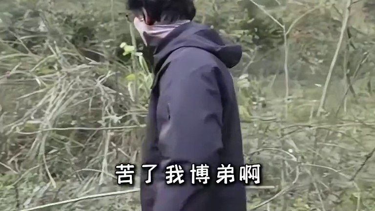 策划张博荒野求生完结撒花，又送转职卡了 #明日之后联动张家界七星山 #七星山明日之后杯 #用明日的方