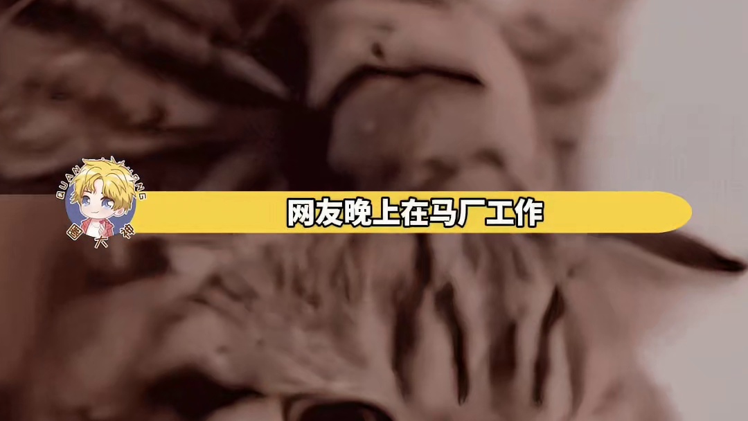 心疼旁边的马三秒钟~~