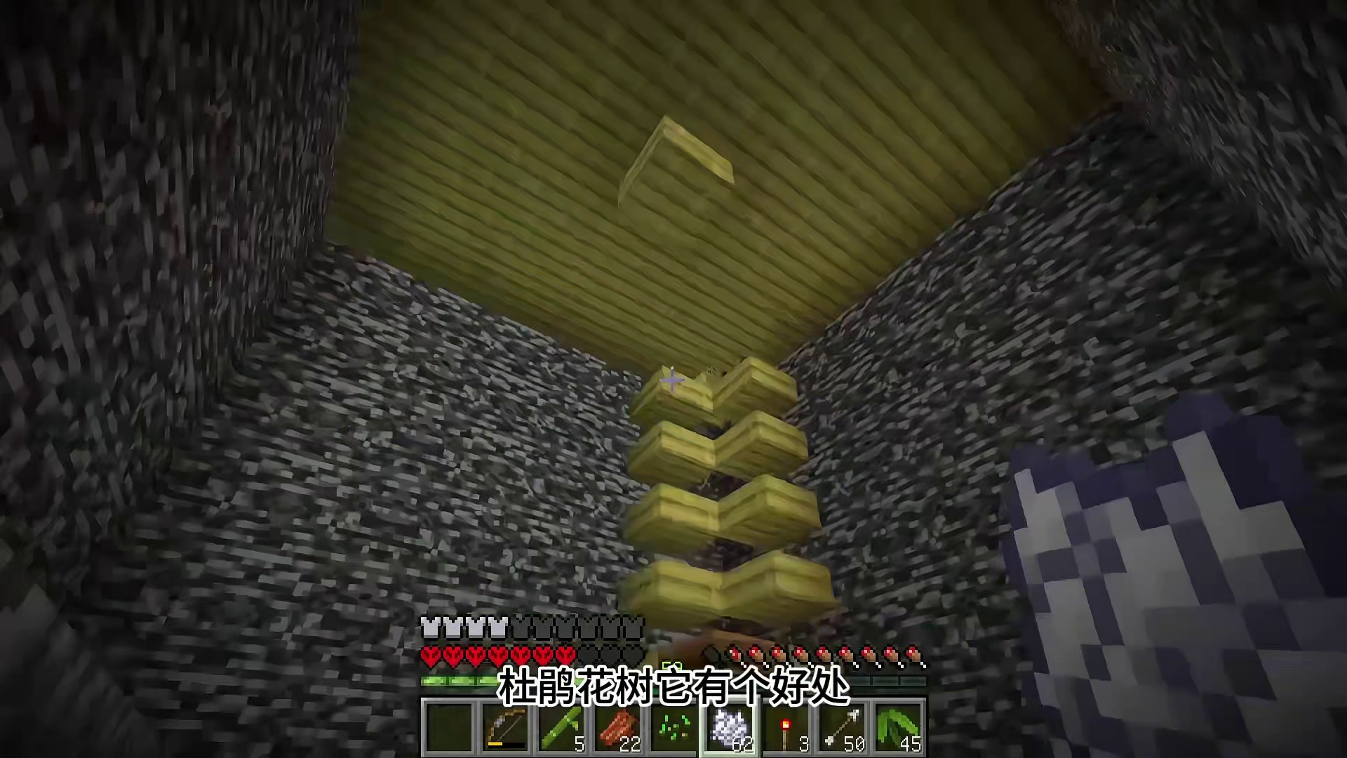 给铁哥来个头部按摩 #我的世界 #基岩生存 #青年创作者成长计划  #游戏内容风向标 #MC生存日记