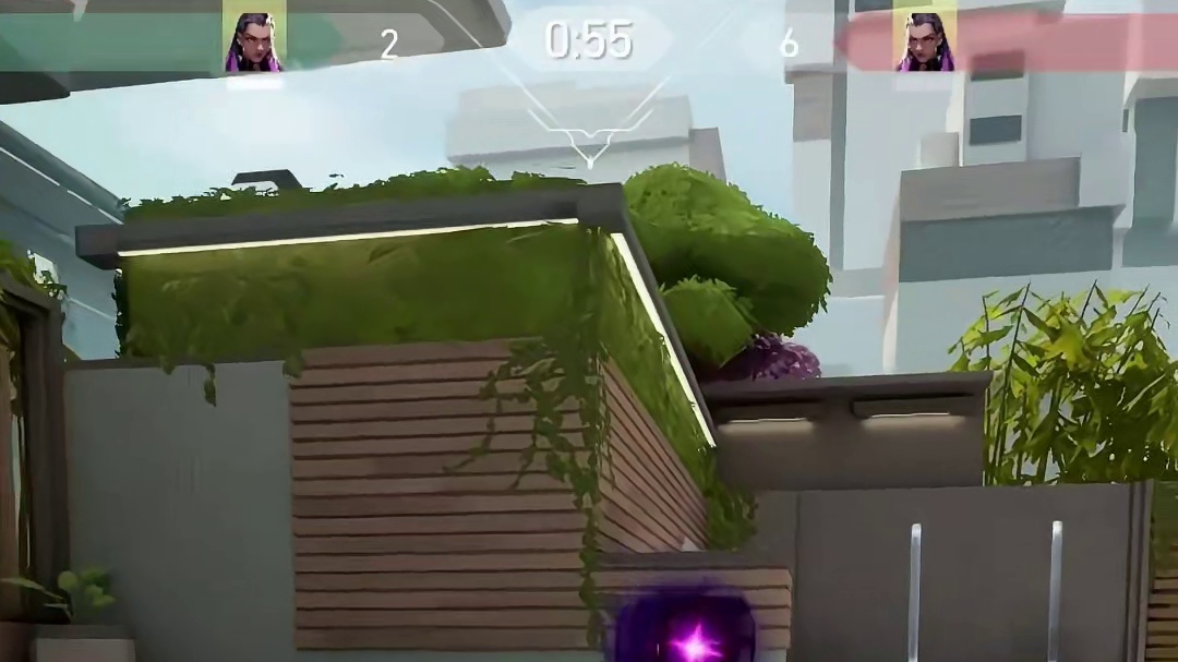 这段能绷住的是植物人