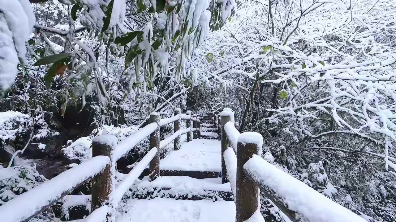 成都人冬季看雪福利来啦 千万别错过，12月12日早上9点直播间有超多福利等着你！记得定好闹钟！#冬日
