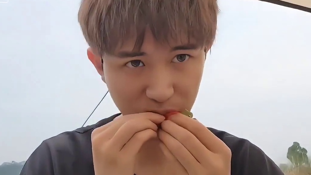 祖师爷童锦程只不过吃了一个柿子，就被网友告知下辈子见 #江南第一深情童锦程  #童锦程撩妹日常  #