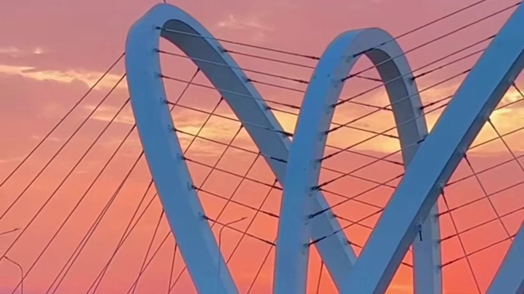 我愿意和你分享我的生活