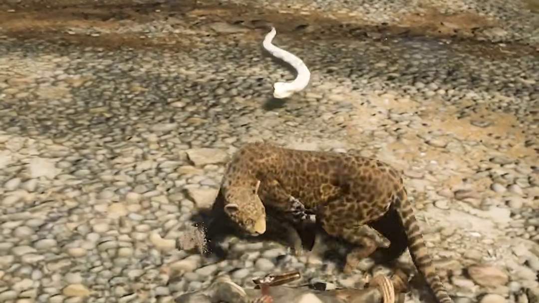 这是什么毒蛇？咬了一口花豹立马倒下