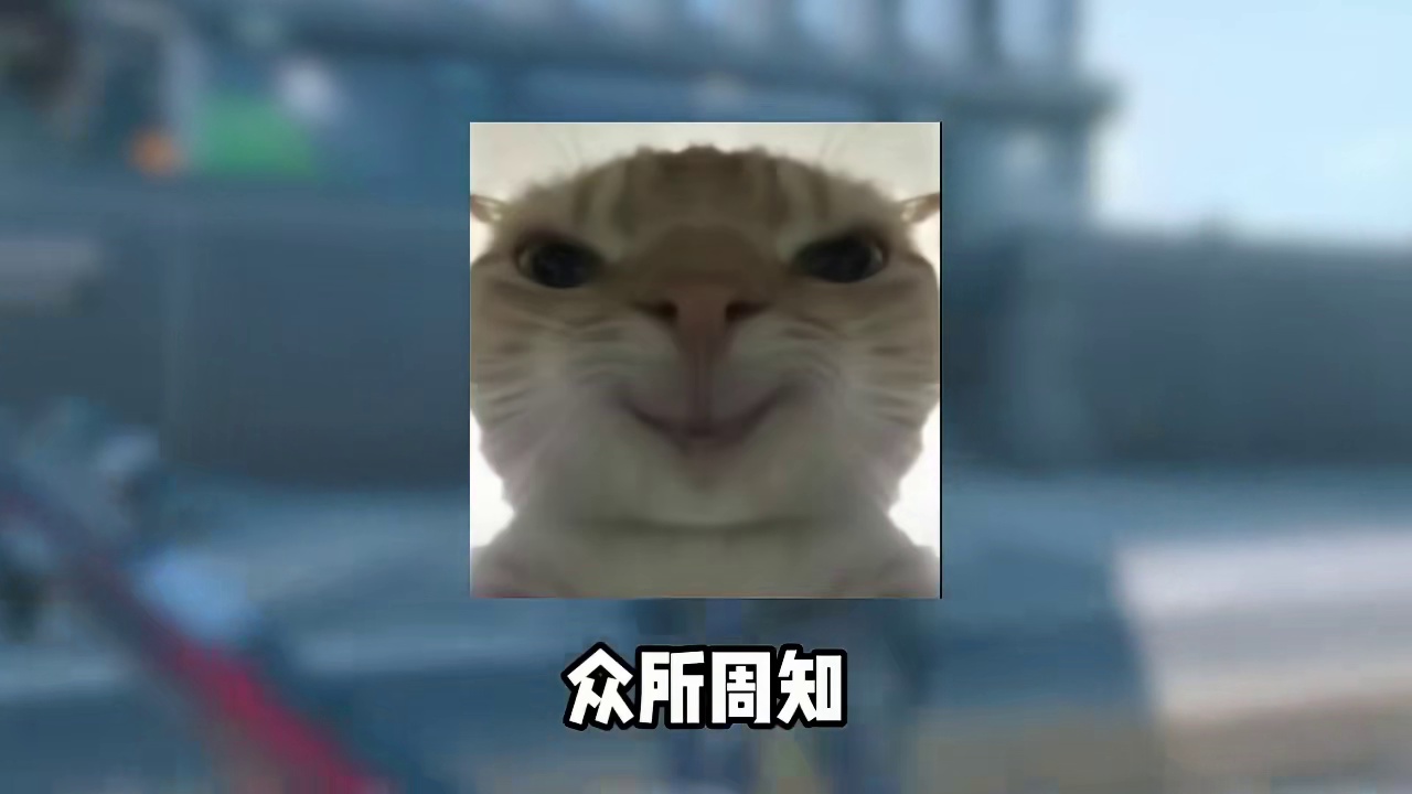 哈弗币的购买力惊人