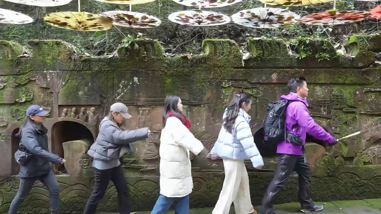 我会一直登，登登登登登，直到登顶蒙顶山！#蒙顶山 #徒步 #爬山 #登登登登登上人生巅峰