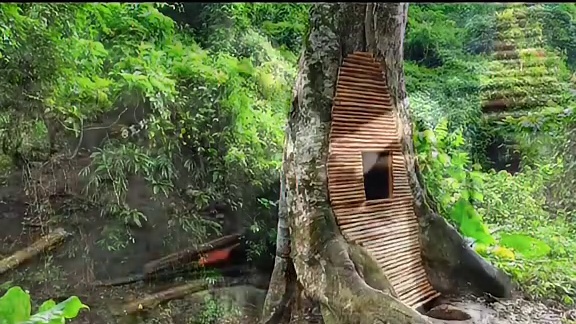 这是我见过最隐蔽的庇护所，利用天然树洞搭建而成！