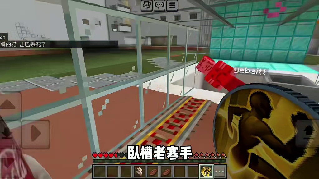 今天我们一命速通没建模的猫  #我的世界#没建模没经济小猫