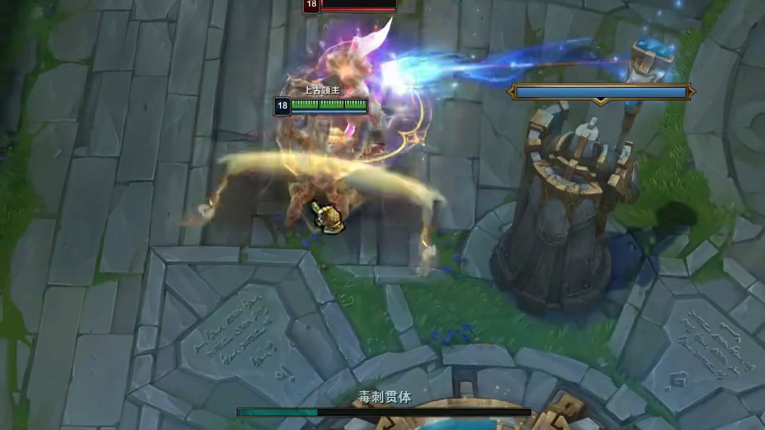 听说蛮子的呼声很高？