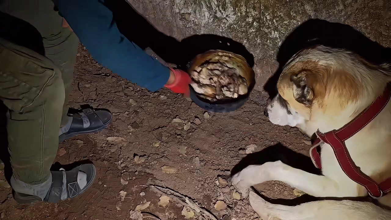 第2集：荒无人烟的野外，男人在石头里面搭建出舒适的荒野小屋