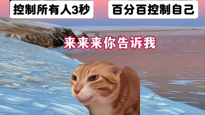 极限二选一 #猫meme