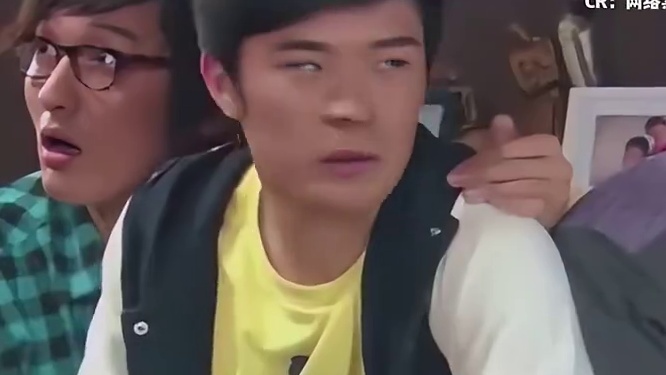 下雨天鸭子抬头一动不动