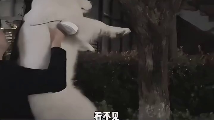 耶耶：其实我也没那么想看