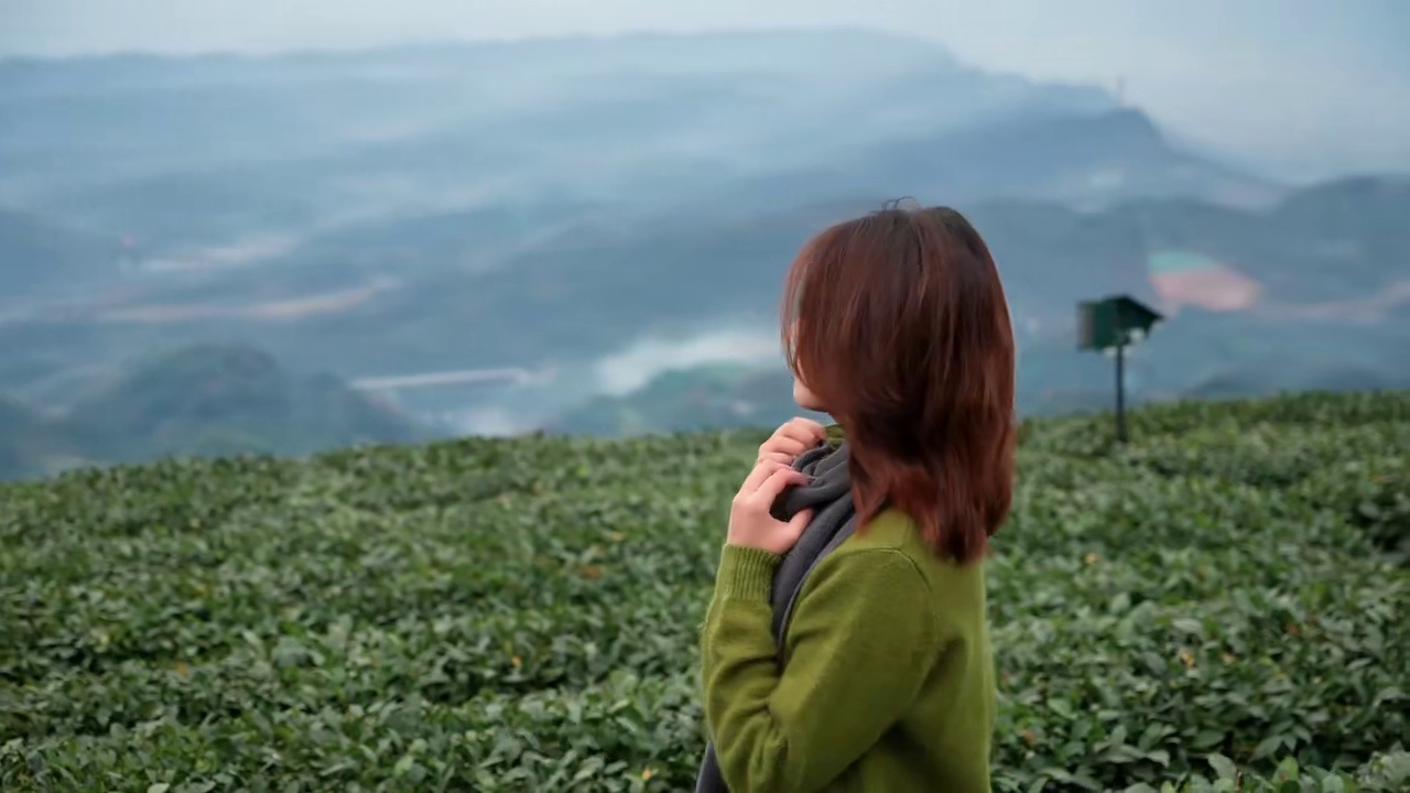 偷得浮生半日闲？那就来蒙顶喫茶去！#蒙顶山 #蒙顶山茶 #偷得浮生半日