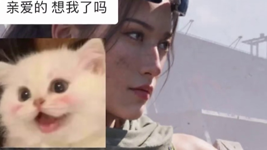 巴别塔里讲什么儿女情长
#三角洲行动  #洲宝来整活