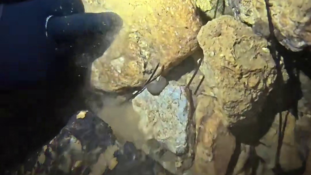 看看潜入绿窟潭底会有怎样的发现？我等了整整3年