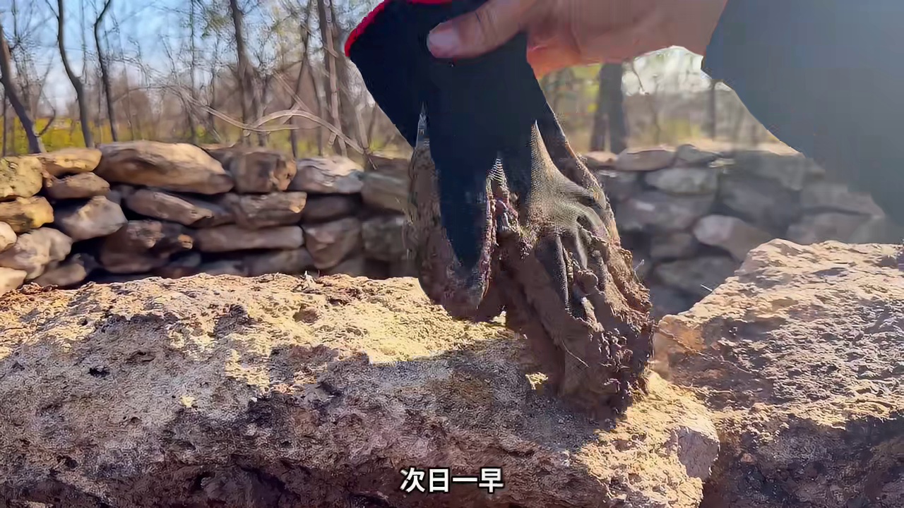 第1集：只需用石头加黏土，男人就在野外搭建出舒适的小屋