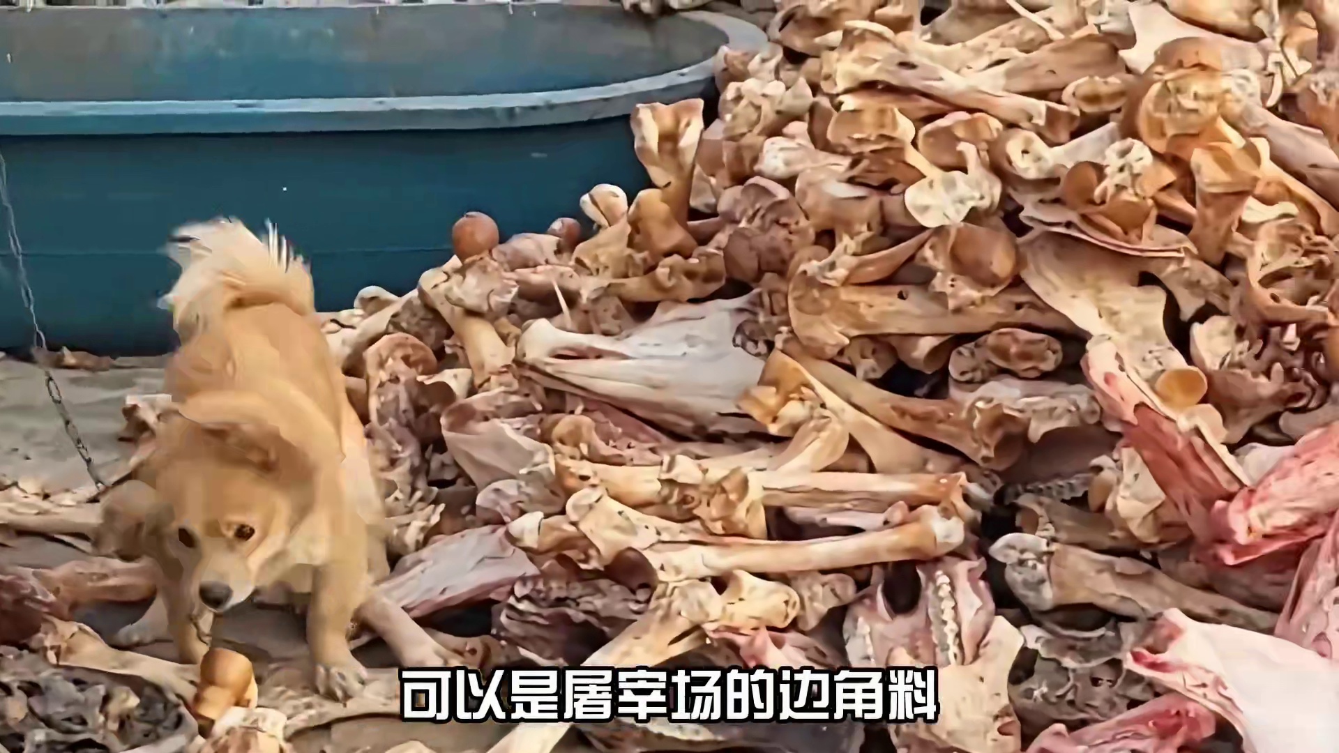 淀粉肠竟然塌房了