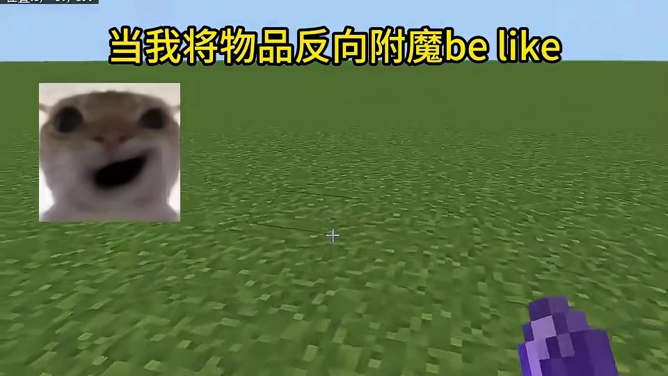 我的世界：当我将物品反向附魔be like