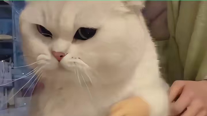 被关起来的能是什么善男信女吗