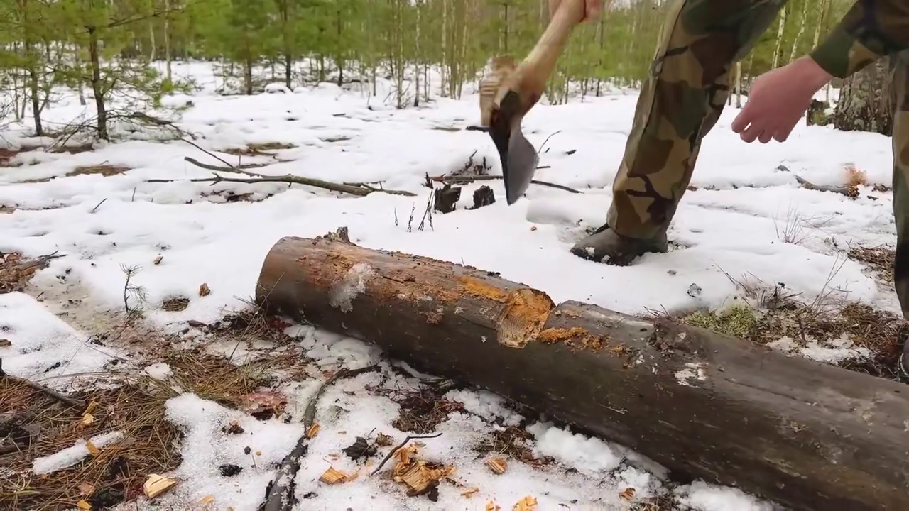 在倒下的树干里躲进温暖的庇护所，在篝火上做饭，单人野外生存。 #冬季雪中露营 #野外生存 #野外露营