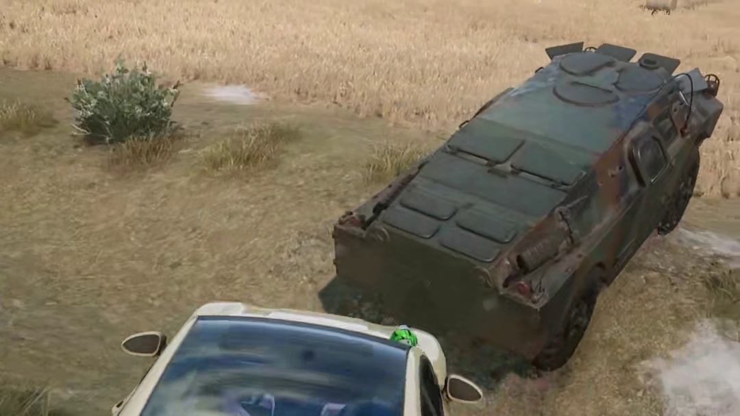 抓到一个野生蟑螂