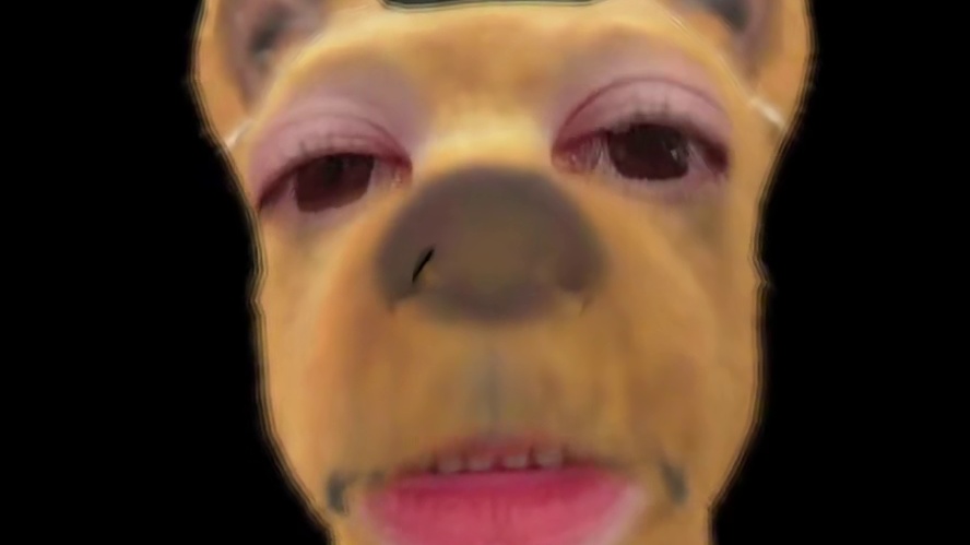 不见不散 #黑域撤离 #小小肥龙吖