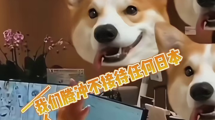 我愿称之为最有种的城市