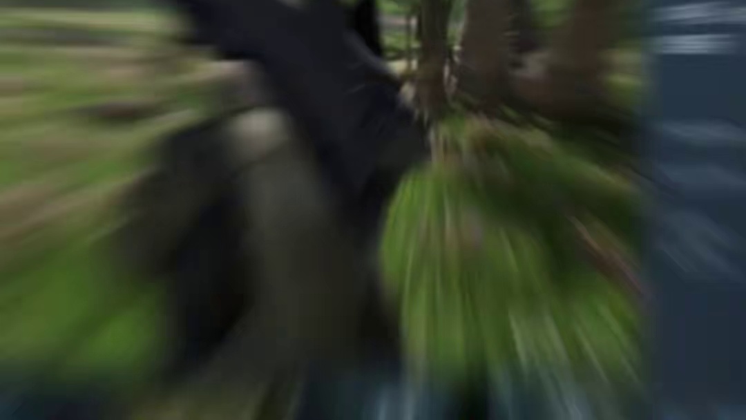 PUBG2黑域撤离上线