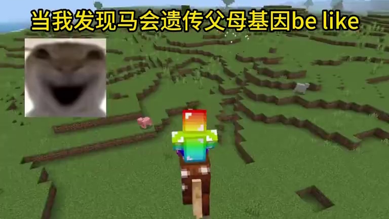 我的世界：当我发现马会遗传父母基因be like