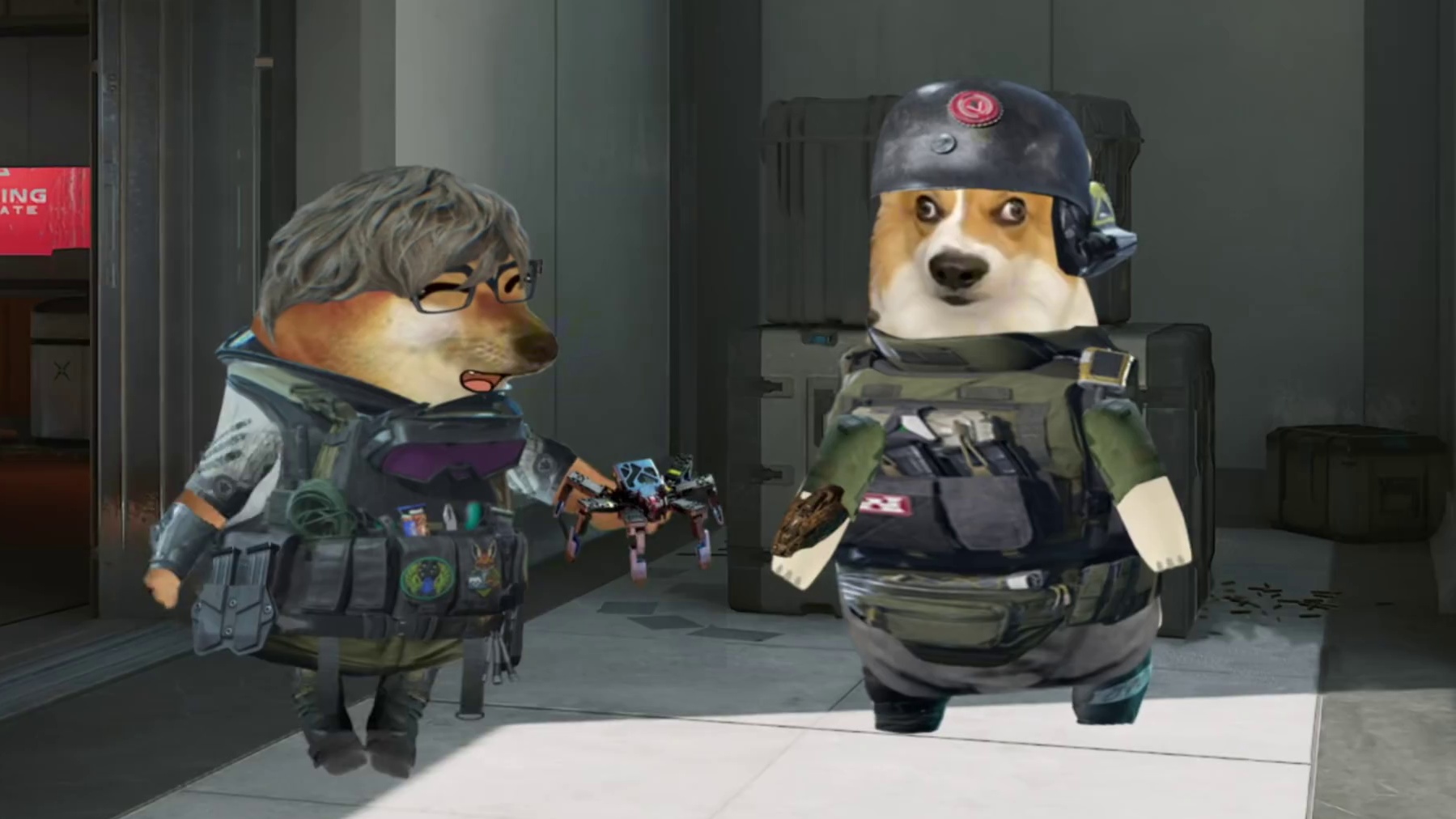 你骂谁是蜘蛛人呢？！