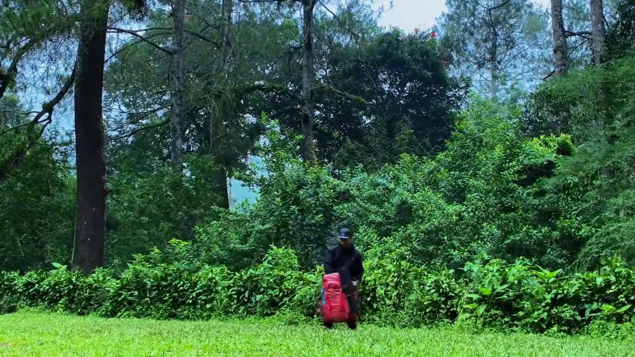 被困在暴雨中，闪电还击中了我的帐篷附近⛈️在暴雨中露营 #户外帐篷露营 #启发搜索激励计划 #解压助