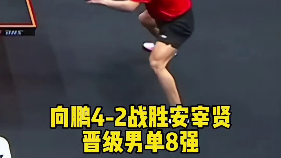 向鹏4-2战胜安宰贤