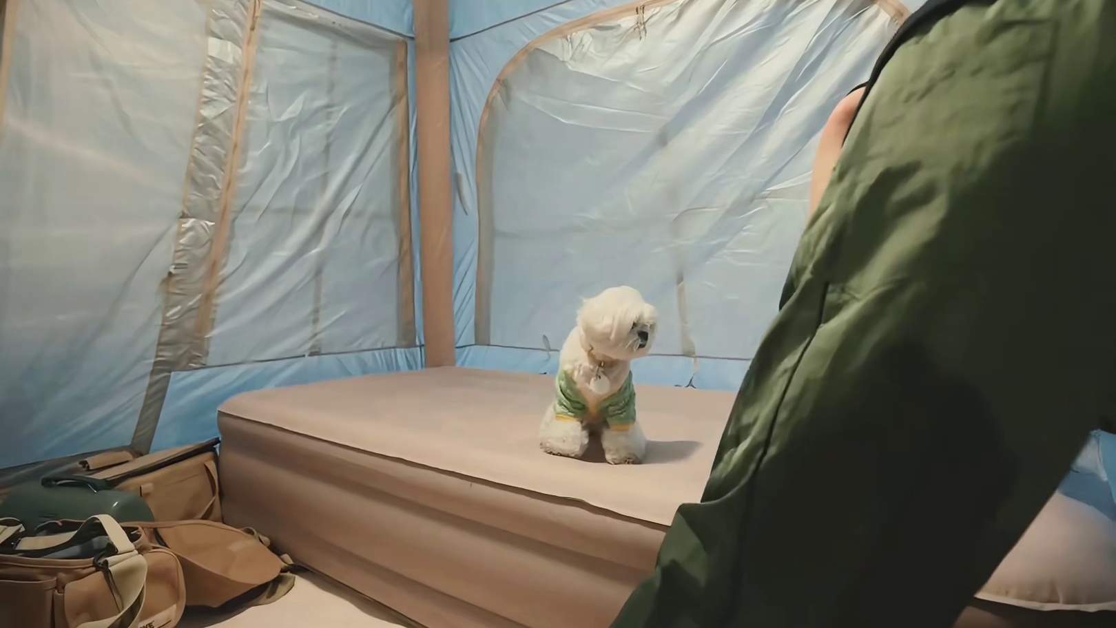 第1集：女人独自驾车到森林中露营，遭遇一场大暴雨，搭建帐篷带狗露营