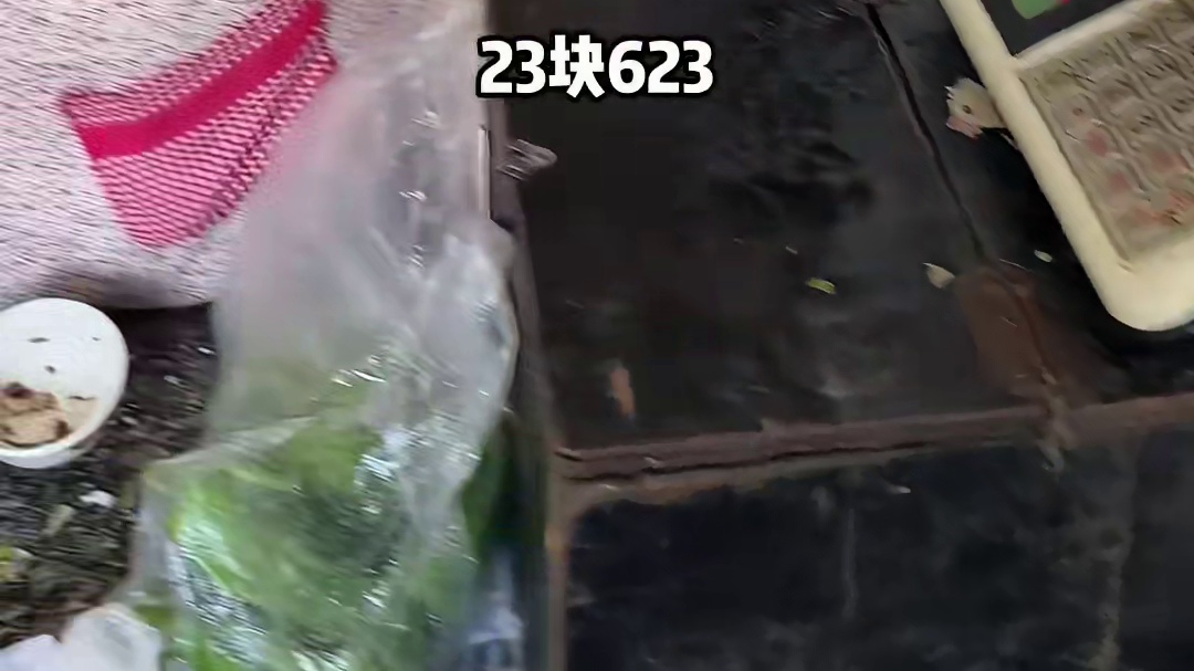 大婶的大集名菜，辣炒肥肠