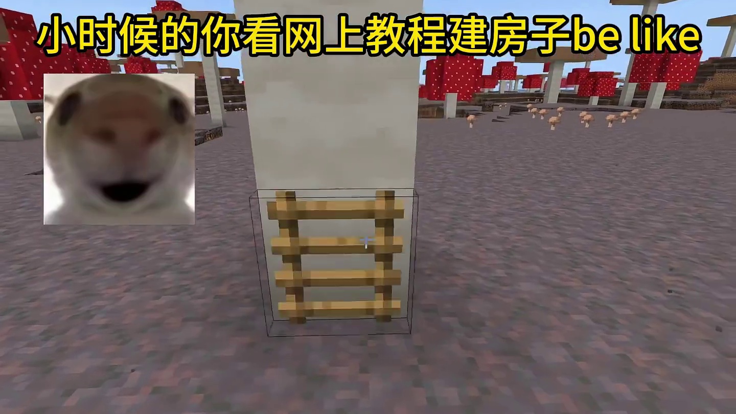 我的世界：小时候的你看网上教程建房子be like