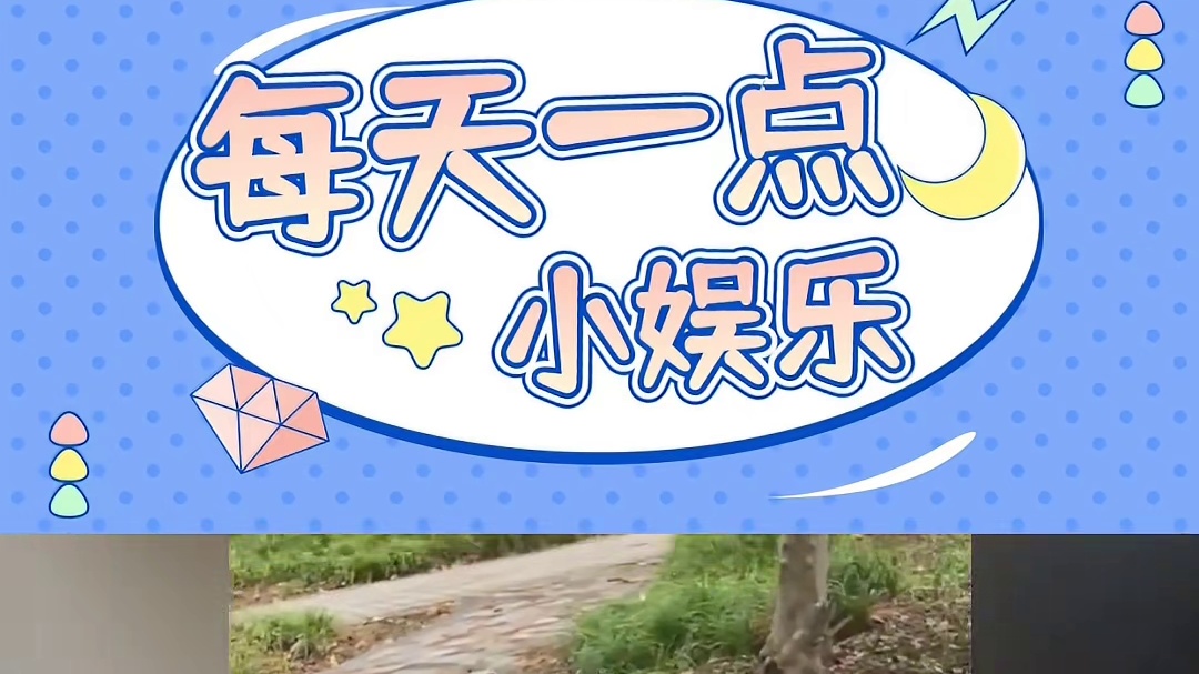 大学校园中健康圆润的猫猫们，不说谁会觉得它们是流浪猫呢？