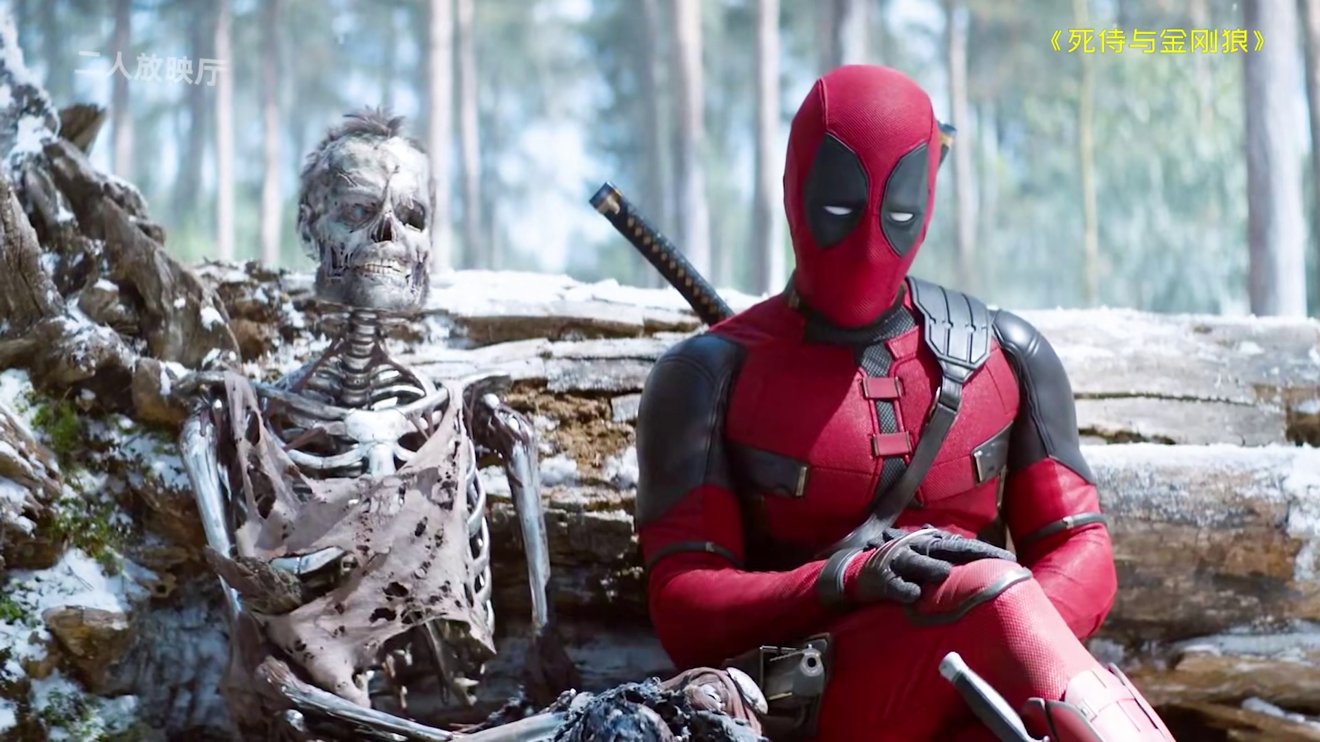 一口气看完漫威弃子大电影